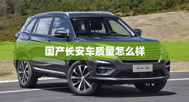 金融危机钱到哪去了