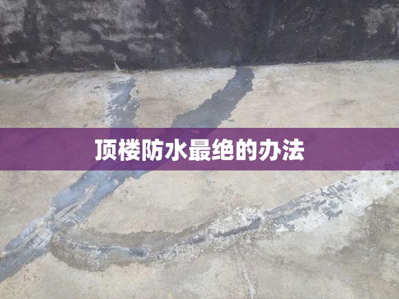 粒度分析仪测量步骤