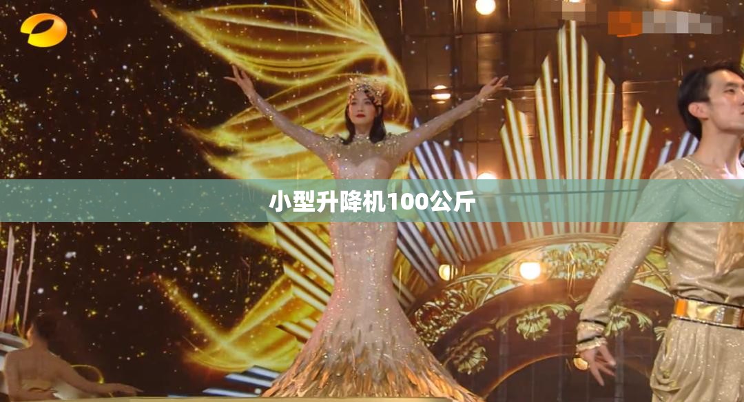 小型升降机100公斤(小型升降机重量)