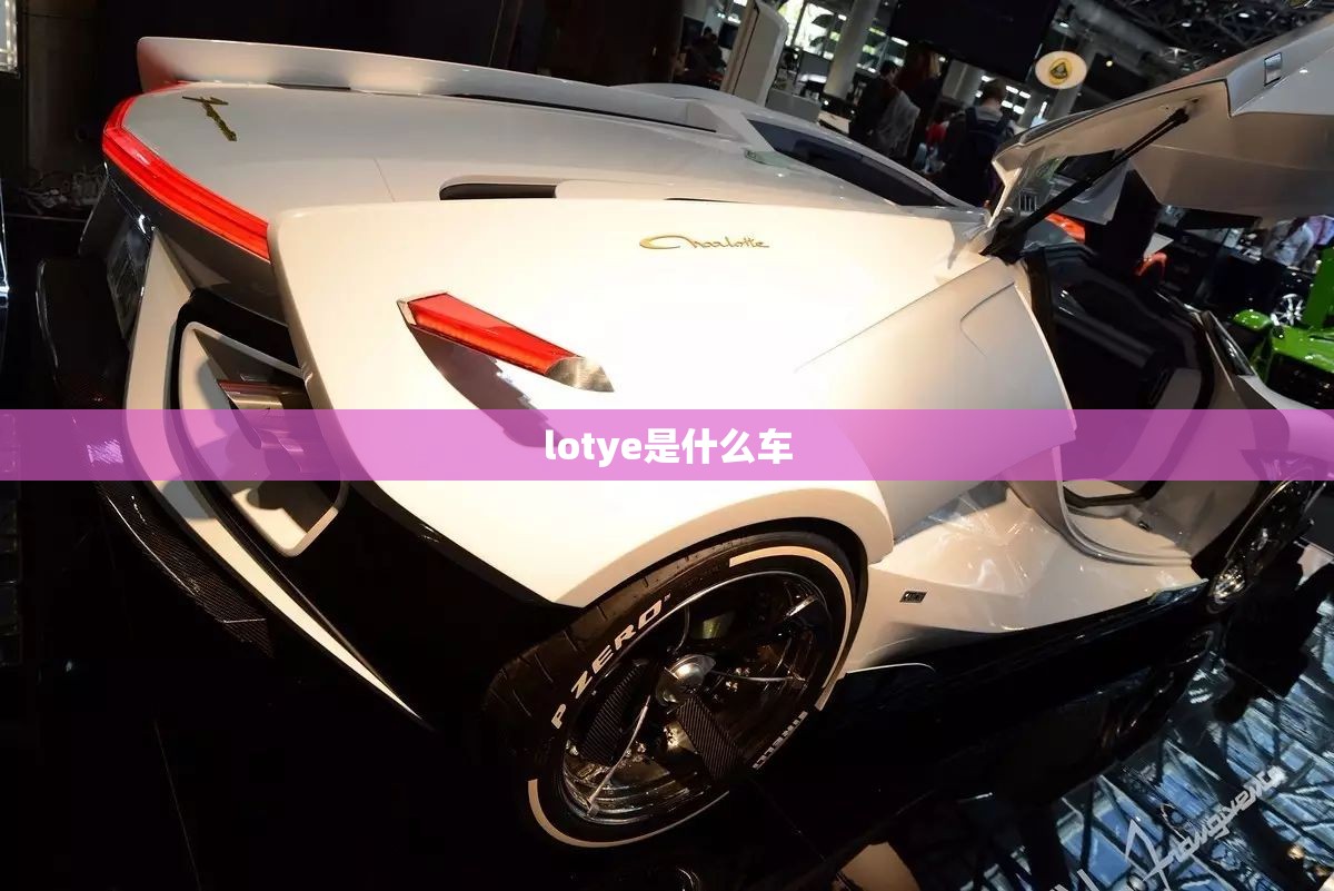 柯珞克2021款有无自动泊车功能(柯珞克有自动刹车吗?)