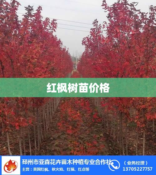 厦门宝马4s店地址和电话