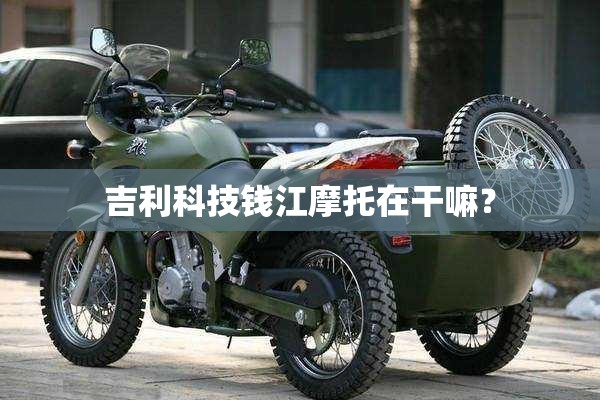 浙江台风天气预报/浙江台风预报网
