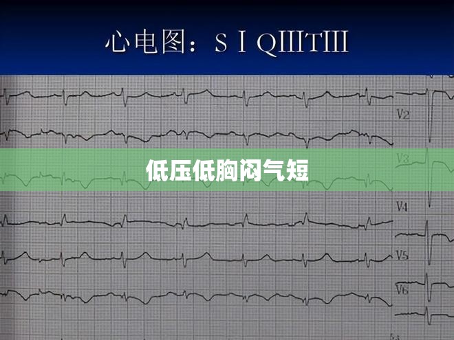 低压低胸闷气短 低压低胸闷气短