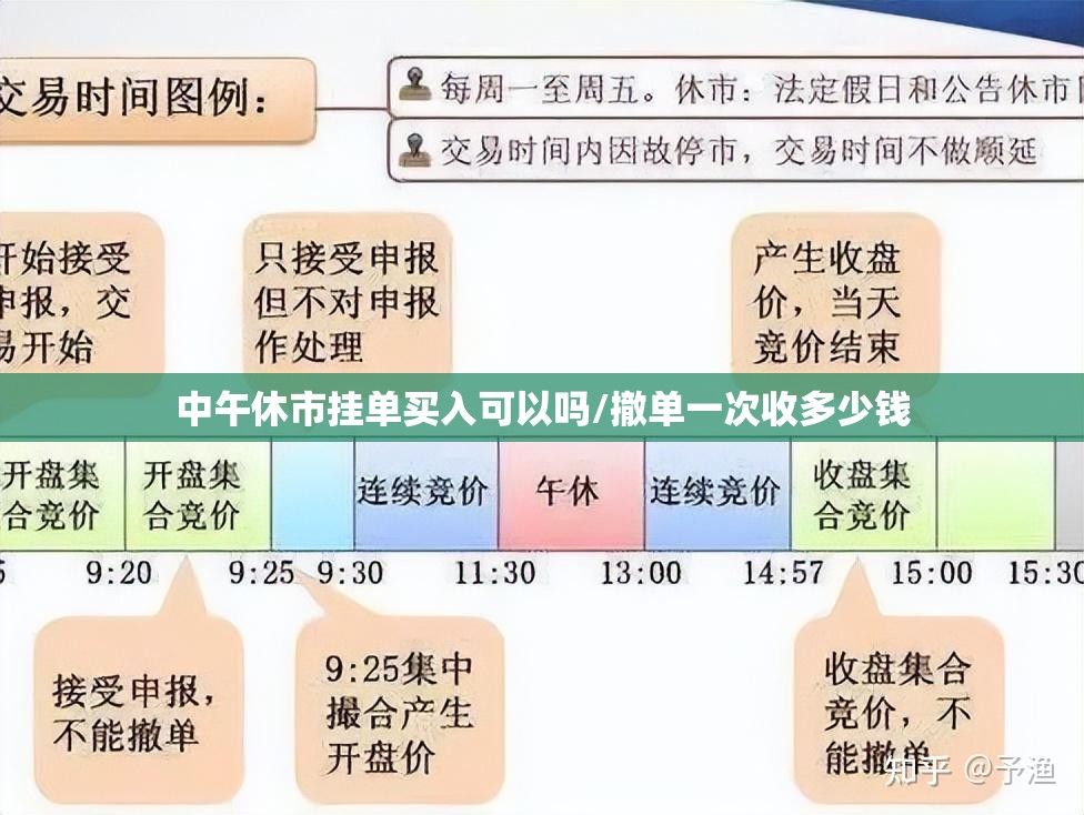 中午休市挂单买入可以吗/撤单一次收多少钱