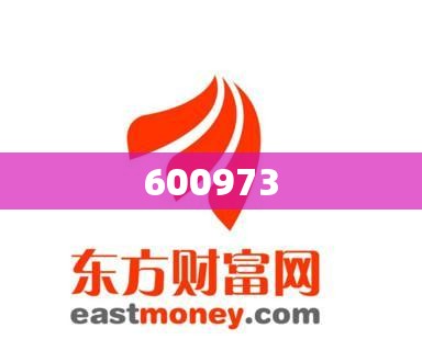 600973(600973东方财富网)