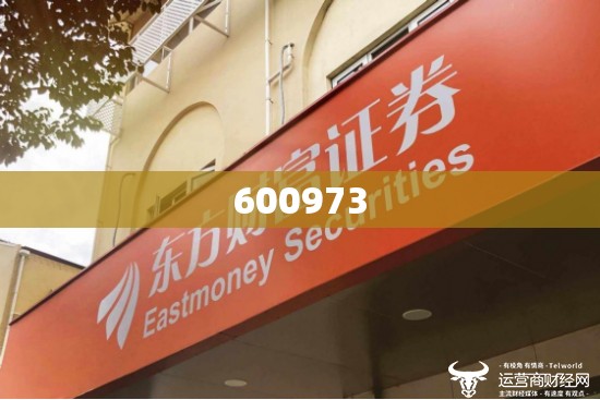 600973(600973东方财富网)