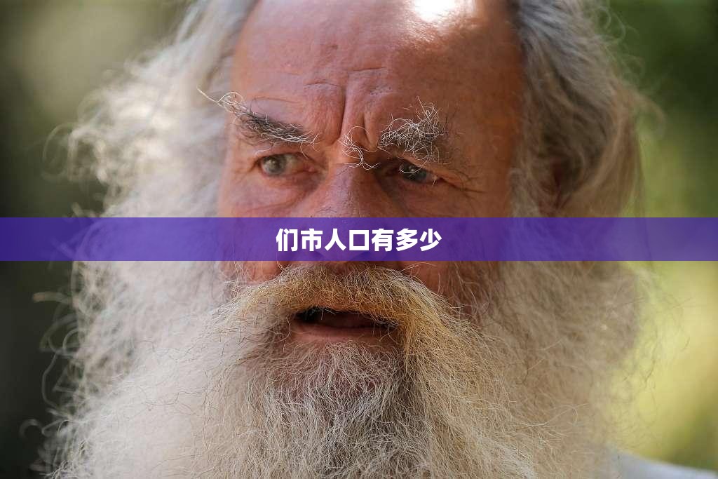 奇瑞风云2怎样？