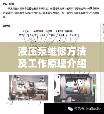【过目不忘的洗车店名字,独特的洗车店名字】