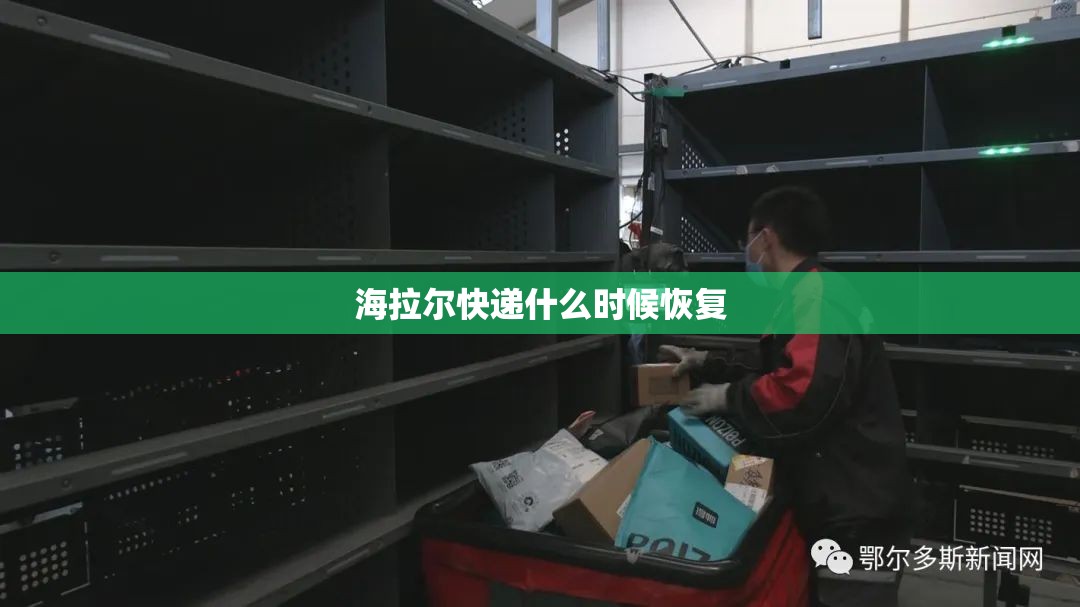 买黑色探岳还是买白色的探岳
