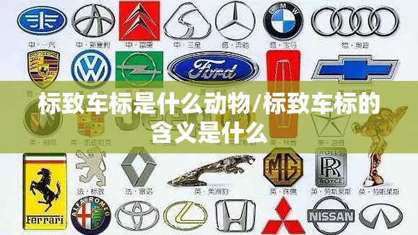 涨乐财富通手机版下载(涨乐财富通华泰证券手机版下载)