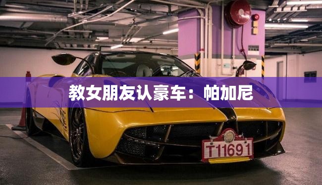 教女朋友认豪车:帕加尼 教女朋友认豪车:帕加尼