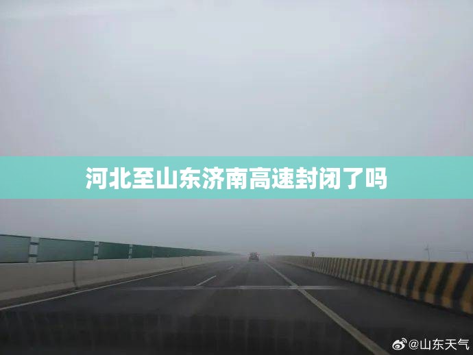 美利达自行车价格表