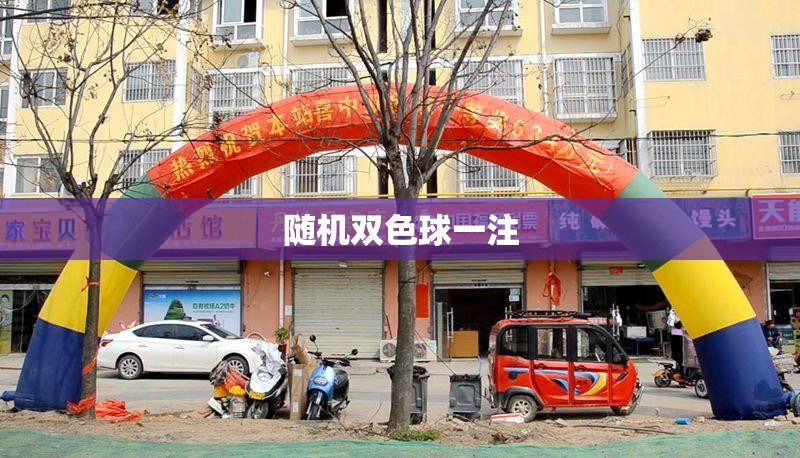 随机双色球一注