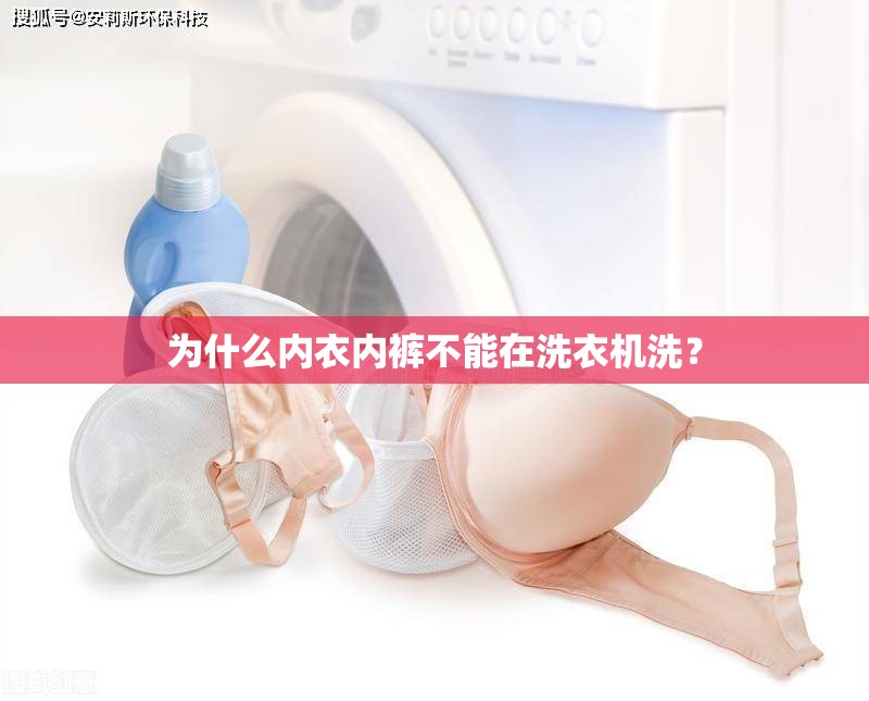 为什么内衣内裤不能在洗衣机洗？