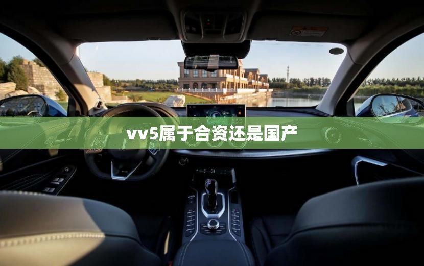 为什么内衣内裤不能在洗衣机洗？