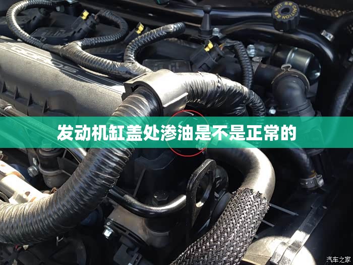 【奥迪a5双门四座是哪款,奥迪a5两门四座】
