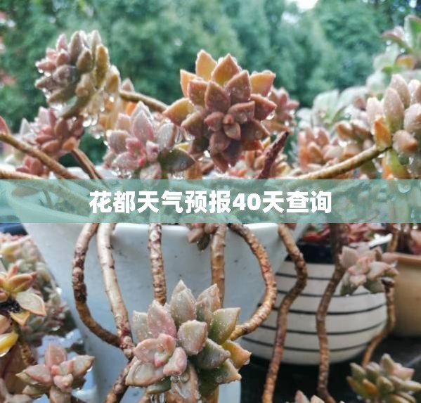 宝马6gt会停产吗