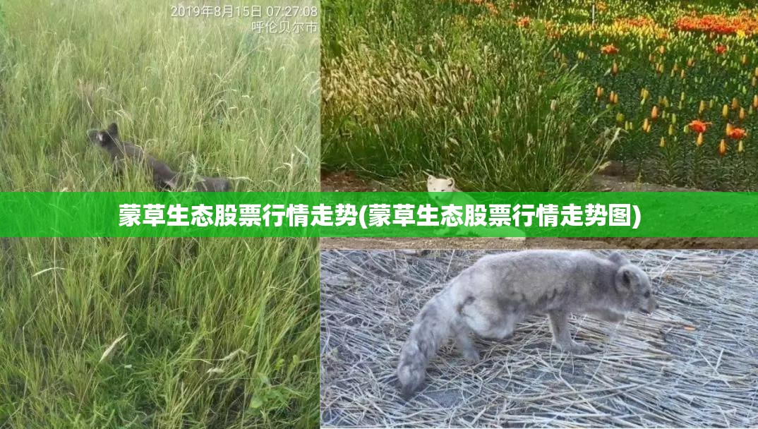 动力煤龙头股票有哪些(动力煤概念股龙头)