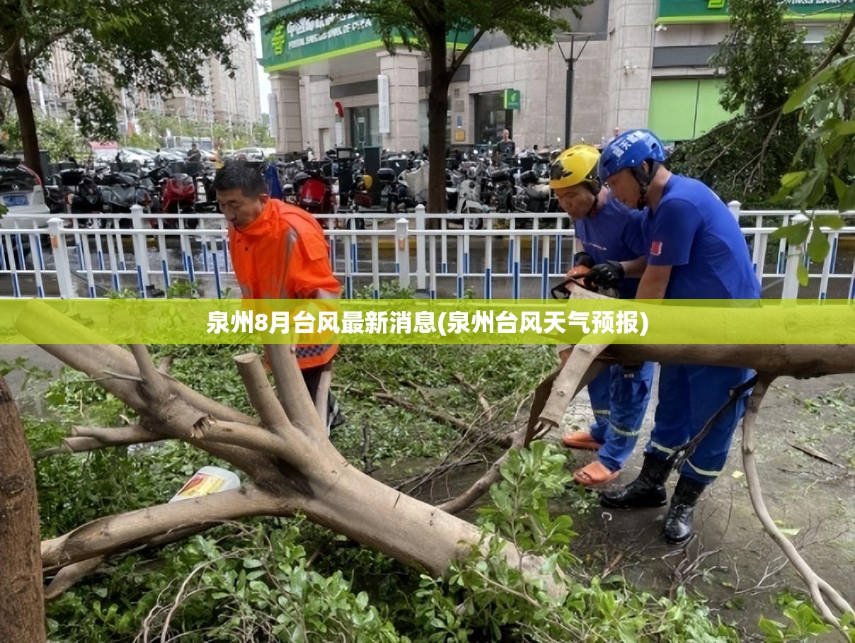 泉州8月台风最新消息(泉州台风天气预报)