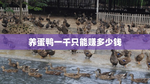5一7万新车大全价格