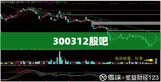 300312股吧