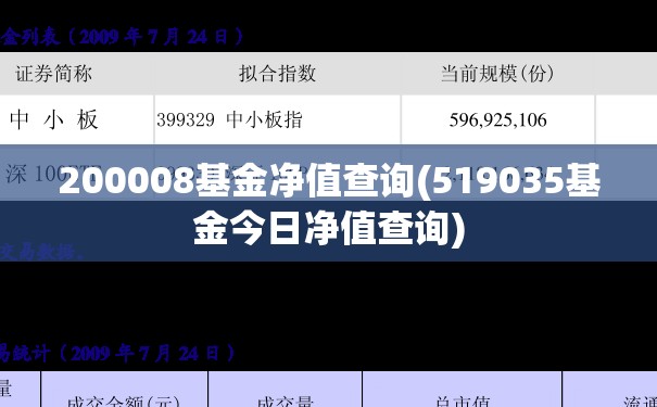 200008基金净值查询(519035基金今日净值查询)