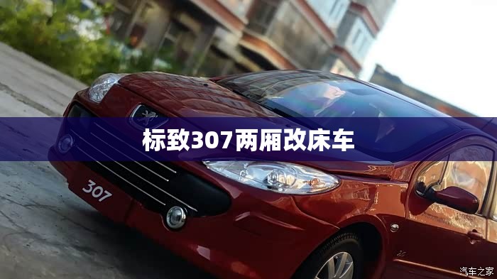 标致307两厢改床车(标致307两厢改装案例) 标致307两厢改床车(标致307两厢改装案例)