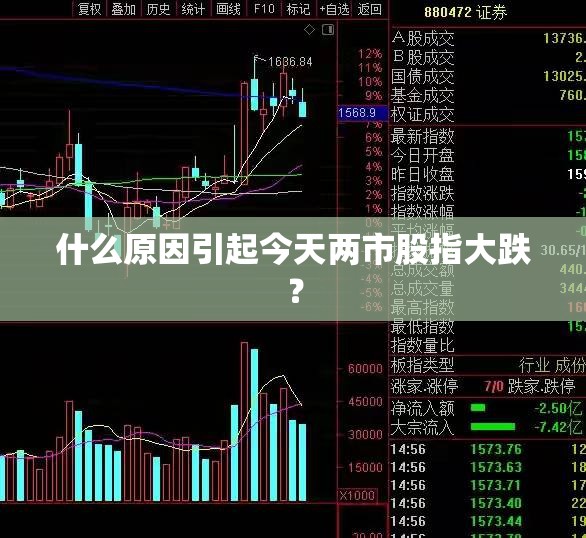 什么原因引起今天两市股指大跌? 什么原因引起今天两市股指大跌?