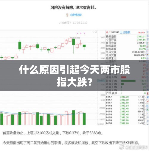 什么原因引起今天两市股指大跌? 什么原因引起今天两市股指大跌?