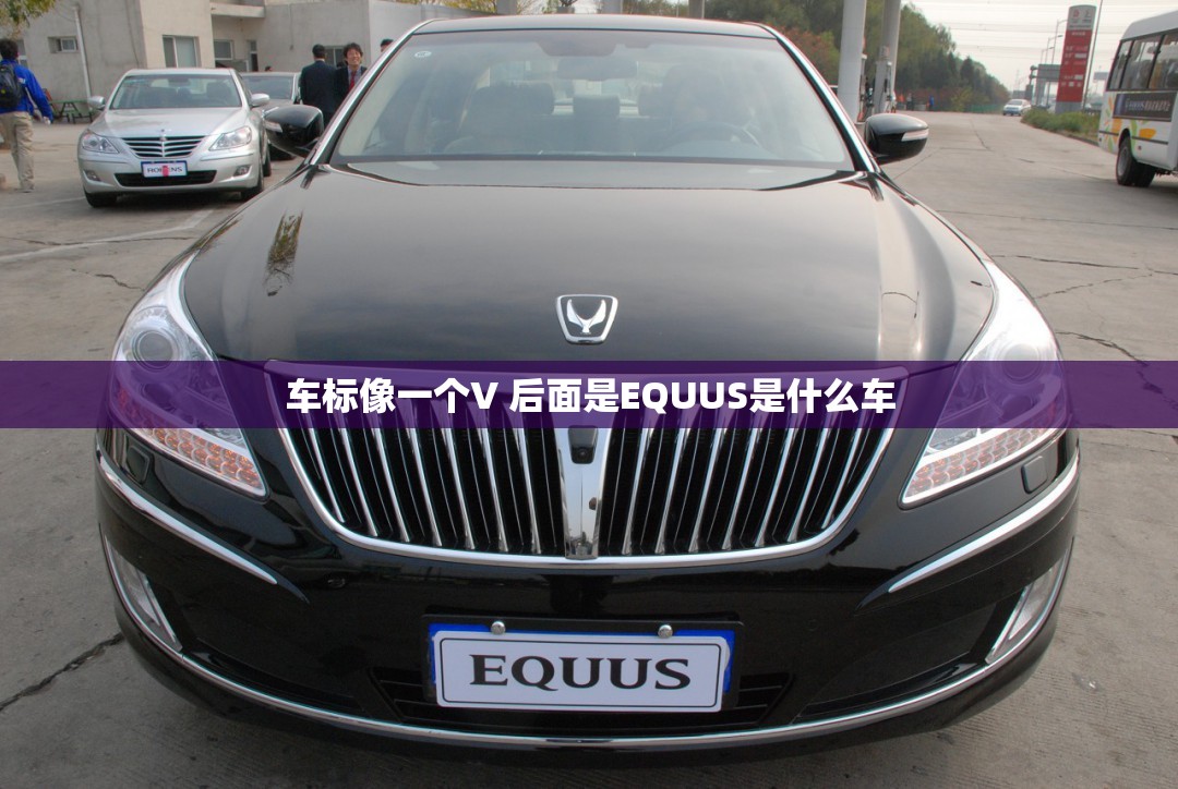 车标像一个V 后面是EQUUS是什么车 车标像一个V 后面是EQUUS是什么车