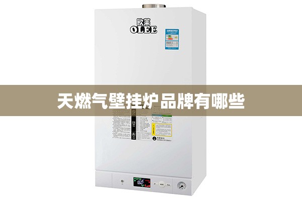 天燃气壁挂炉品牌有哪些 天燃气壁挂炉品牌有哪些