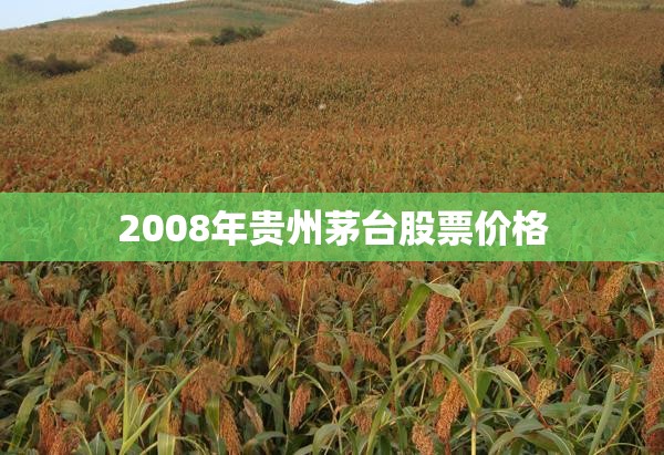 2008年贵州茅台股票费用/2008年贵州茅台股票费用是多少 2008年贵州茅台股票费用/2008年贵州茅台股票费用是多少