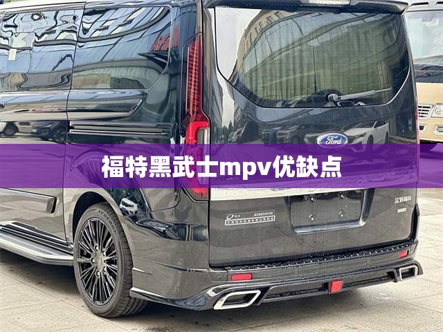 福特黑武士mpv优缺点 福特黑武士mpv优缺点