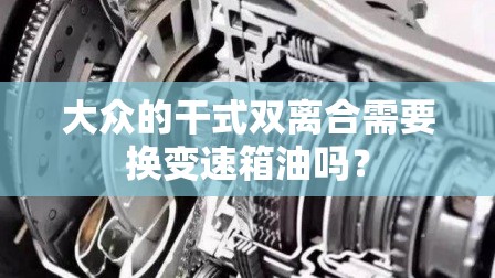 大众的干式双离合需要换变速箱油吗? 大众的干式双离合需要换变速箱油吗?