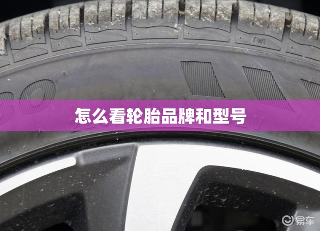 怎么看轮胎品牌和型号(如何看轮胎牌子和型号) 怎么看轮胎品牌和型号(如何看轮胎牌子和型号)