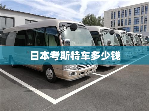 日本考斯特车多少钱(日本考斯特商务车)