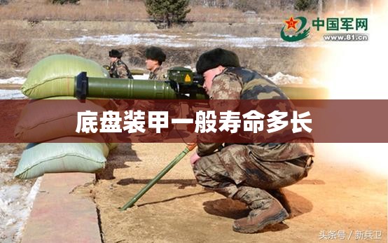 日本考斯特车多少钱(日本考斯特商务车)