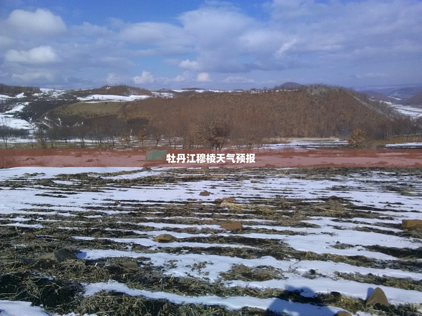 秦皇岛龙华园在什么位置？