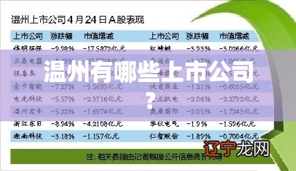 温州有哪些上市公司？