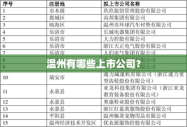 温州有哪些上市公司？