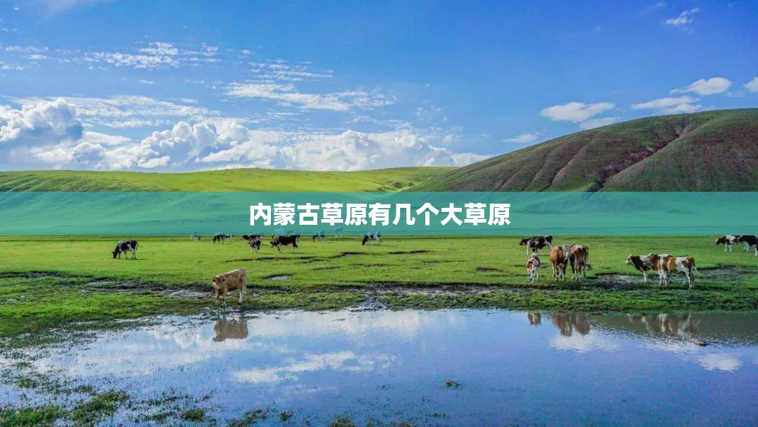 底盘装甲一般寿命多长