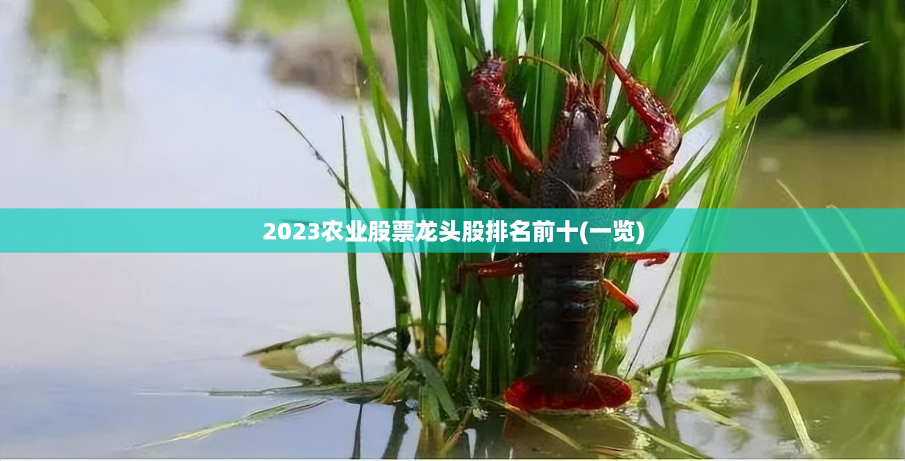 温州有哪些上市公司？