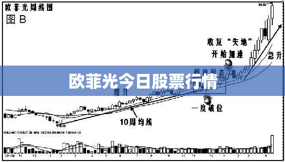 2023农业股票龙头股排名前十(一览)