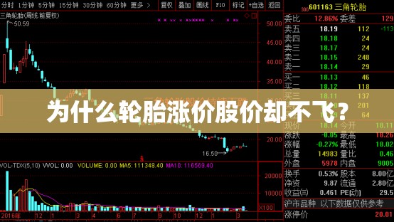 为什么轮胎涨价股价却不飞？