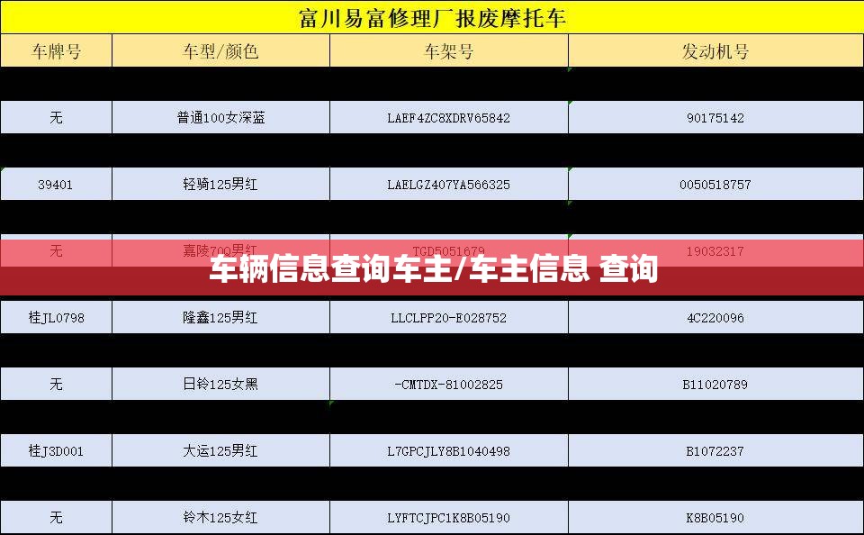 车辆信息查询车主/车主信息 查询