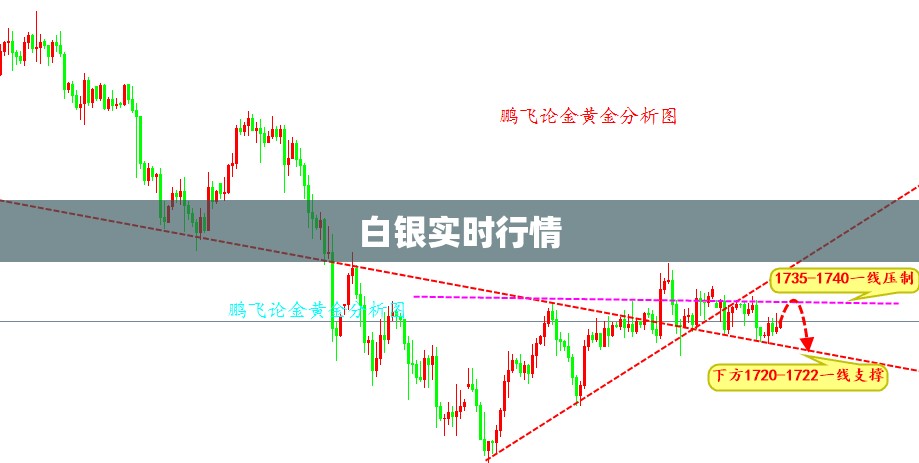 新手学倒车搞不明白怎么打方向