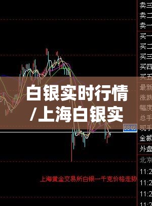 白银实时行情/上海白银实时行情