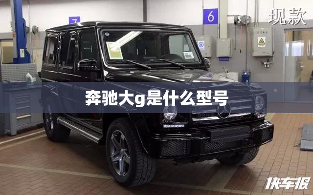 奔驰大g是什么型号