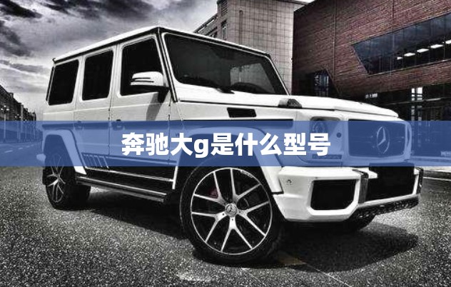 奔驰大g是什么型号