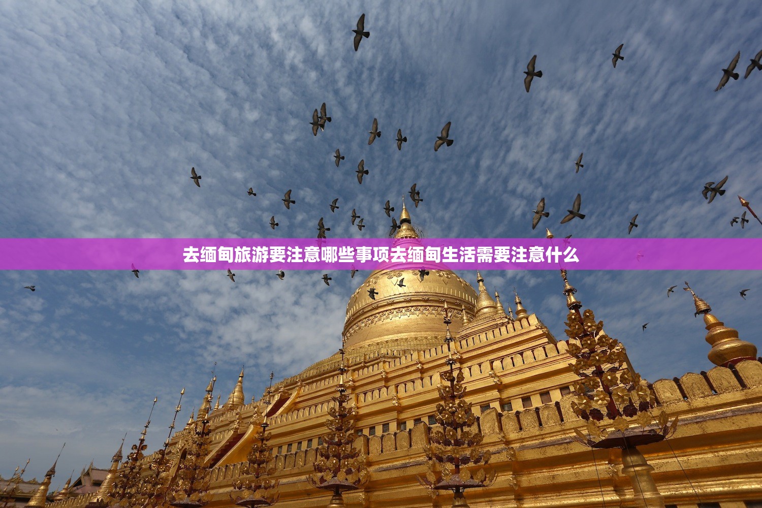 去缅甸旅游要注意哪些事项去缅甸生活需要注意什么